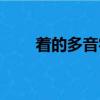 著的多音字組詞（率的多音字組詞）
