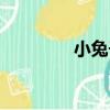 小兔子（關于小兔子簡介）