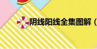 陰線陽線全集圖解(陰陽線)