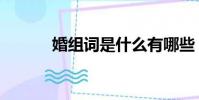 婚組詞是什么有哪些(婚組詞)