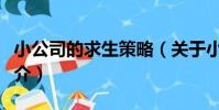 小公司的求生策略(關于小公司的求生策略簡介)