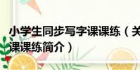 小學生同步寫字課課練(關于小學生同步寫字課課練簡介)