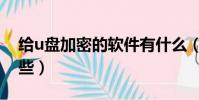 給u盤加密的軟件有什么(u盤加密軟件有哪些)