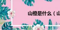 山橙是什么(山橙)