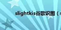 slightkis谷歌識圖(slightkis)