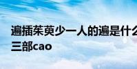 遍插茱萸少一人的遍是什么意思a量詞幾遍第三部cao