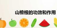 山楂根的功效和作用(山楂根)