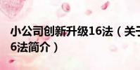 小公司創新升級16法(關于小公司創新升級16法簡介)