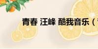 青春 汪峰 酷我音樂(青春 汪峰)