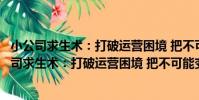 小公司求生術:打破運營困境 把不可能變為可能(關于小公司求生術:打破運營困境 把不可能變為可能簡介)