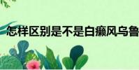 怎樣區別是不是白癩風烏魯木齊新軍都醫院
