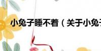 小兔子睡不著(關于小兔子睡不著簡介)