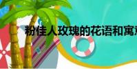粉佳人玫瑰的花語和寓意(粉佳人)