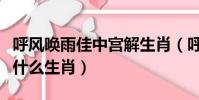 呼風喚雨佳中宮解生肖(呼風喚雨佳中宮是指什么生肖)