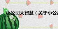 小公司大智慧(關于小公司大智慧簡介)