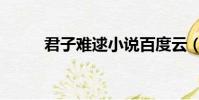 君子難逑小說百度云(君子難逑)