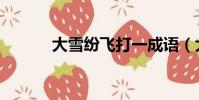 大雪紛飛打一成語(大雪紛飛)