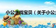 小公主找寶貝(關于小公主找寶貝簡介)