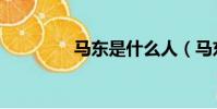 馬東是什么人(馬東父親)
