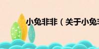 小兔非非(關于小兔非非簡介)