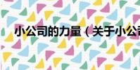 小公司的力量(關于小公司的力量簡介)