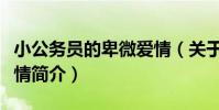 小公務員的卑微愛情(關于小公務員的卑微愛情簡介)