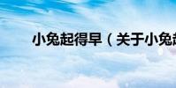 小兔起得早(關于小兔起得早簡介)