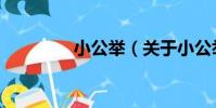 小公舉(關于小公舉簡介)