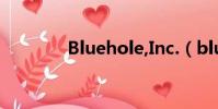 Bluehole,Inc.(bluehole)