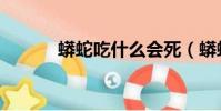蟒蛇吃什么會死(蟒蛇吃什么)