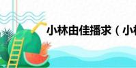 小林由佳播求(小林由佳)