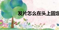 發片怎么在頭上固定(發片)