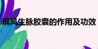 屏風生脈膠囊的作用及功效(屏風生脈膠囊)