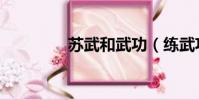 蘇武和武功(練武功蘇三)