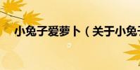 小兔子愛蘿卜(關于小兔子愛蘿卜簡介)