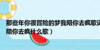 那些年你很冒險的夢我陪你去瘋歌詞(那些你很冒險的夢我陪你去瘋什么歌)