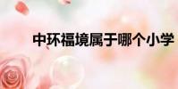 中環福境屬于哪個小學(中環福境)