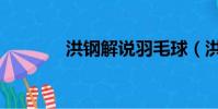 洪鋼解說羽毛球(洪鋼解說)
