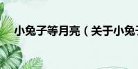 小兔子等月亮(關于小兔子等月亮簡介)