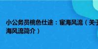 小公務員桃色仕途:宦海風流(關于小公務員桃色仕途:宦海風流簡介)