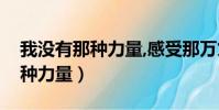 我沒有那種力量,感受那萬丈榮光(我沒有那種力量)