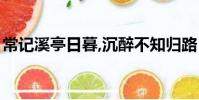 常記溪亭日暮,沉醉不知歸路(常記溪亭日暮)