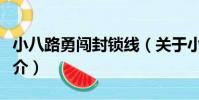 小八路勇闖封鎖線(關于小八路勇闖封鎖線簡介)
