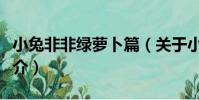 小兔非非綠蘿卜篇(關于小兔非非綠蘿卜篇簡介)
