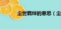 塵世羈絆的意思(塵世羈txt)