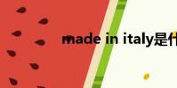made in italy是什么牌子