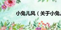 小兔兒風(關于小兔兒風簡介)