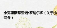 小克里斯蒂亞諾·羅納爾多(關于小克里斯蒂亞諾·羅納爾多簡介)