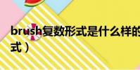 brush復數形式是什么樣的(brush的復數形式)