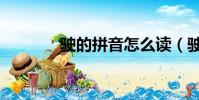 駛的拼音怎么讀(駛的拼音)